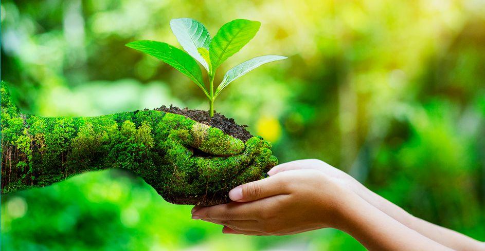 Licenciamento Ambiental